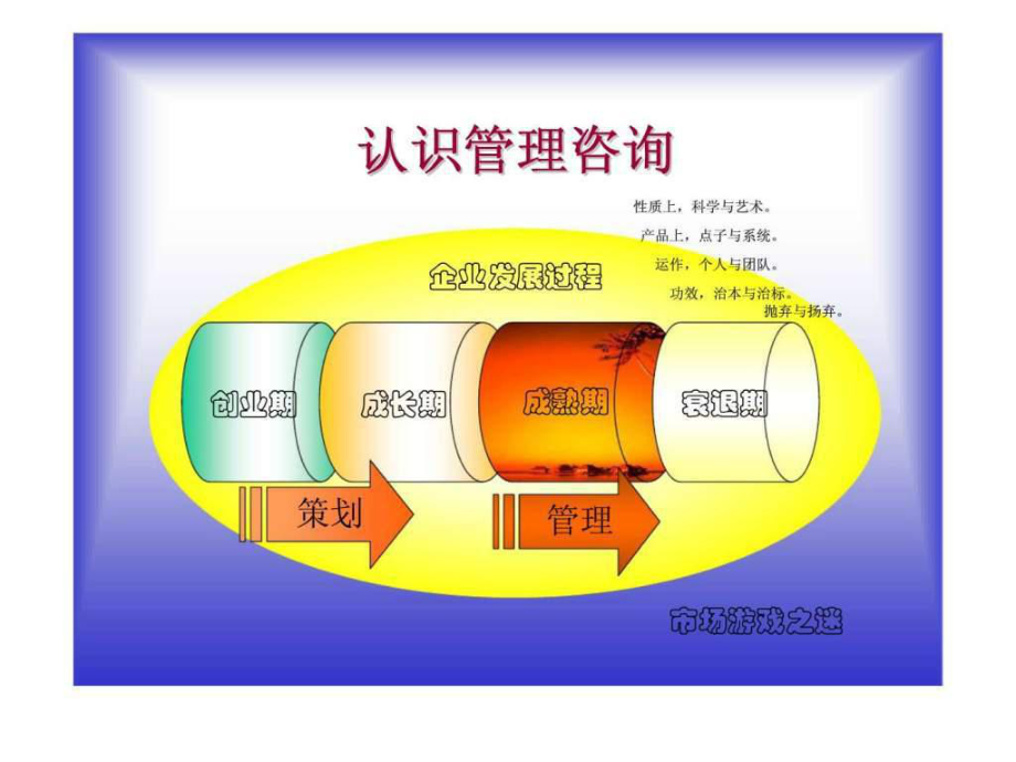 管理咨詢業分析 行業概述、趨勢與挑戰