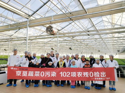 高端蔬菜與農(nóng)業(yè)科普知識(shí)兩手抓，京東植物工廠打造健康生活新方式