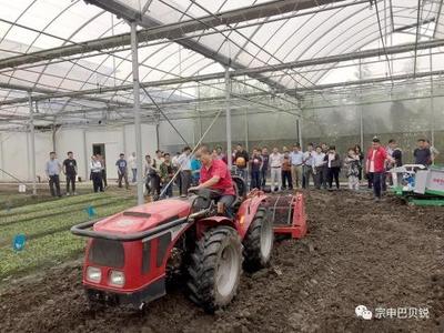 實力出擊！山地王閃耀上海市新型蔬菜機械演示會，引領(lǐng)農(nóng)業(yè)園藝服務(wù)新篇章