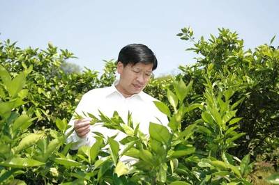 對話雙一流 華中農(nóng)業(yè)大學(xué)園藝學(xué)科，以科技賦能農(nóng)業(yè)園藝服務(wù)