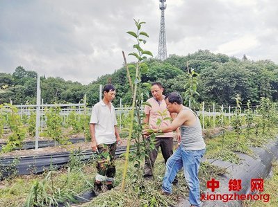 青年教師不能做服務&ldquo;三農&rdquo;的局外人