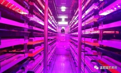 號外 | 山東農業大學成功申辦第八屆中日韓設施園藝與植物工廠學術研討會!
